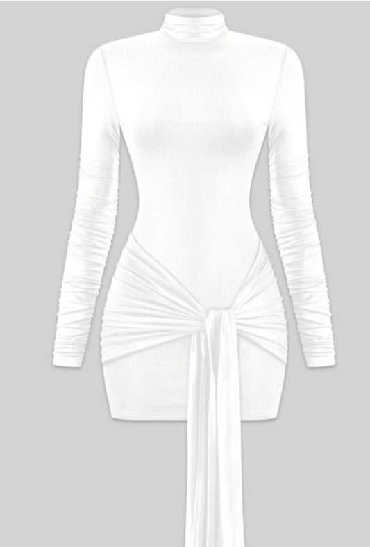 Long Sleeve Mini Dress